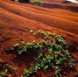 欧美推出收藏版本Switch《女神异闻录3》