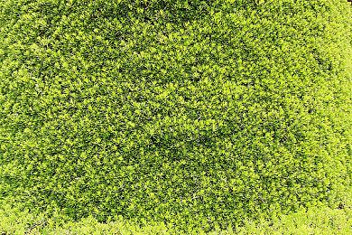 《沙石镇时光》近日官宣加入独游「iii计划」！   多人模式跨平台联机将于今夏正式开启！